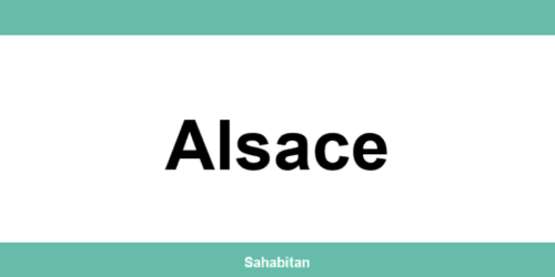 Contactez ISERBA à Alsace : téléphone et informations utiles