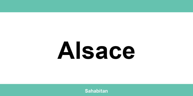 Contactez ISERBA à Alsace : téléphone et informations utiles