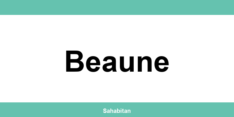 Contactez ISERBA à Beaune : téléphone et informations utiles