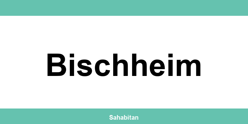 Contactez ISERBA à Bischheim : téléphone et informations utiles