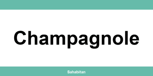 Contactez ISERBA à Champagnole : téléphone et informations utiles