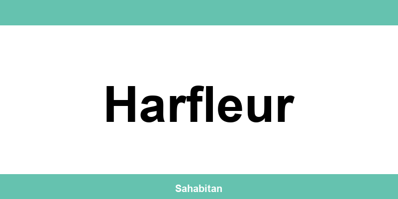 Contactez ISERBA à Harfleur : téléphone et informations utiles
