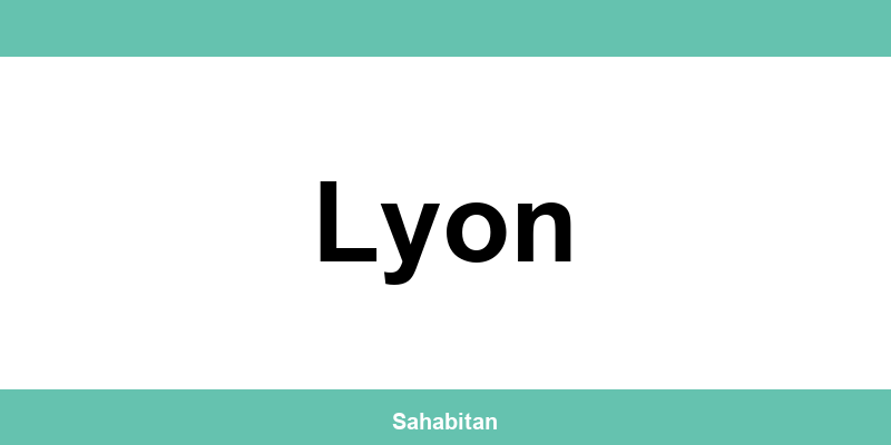 Contactez ISERBA à Lyon : téléphone et informations utiles