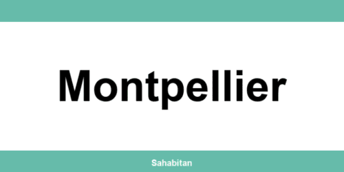 Contactez ISERBA à Montpellier : téléphone et informations utiles