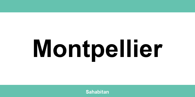 Contactez ISERBA à Montpellier : téléphone et informations utiles