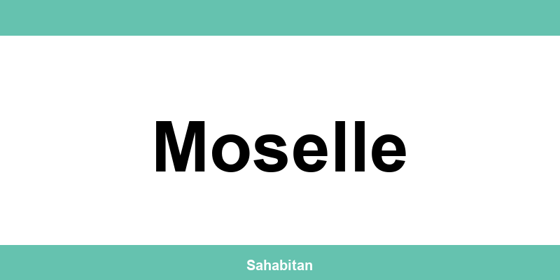 Contactez ISERBA à Moselle : téléphone et informations utiles