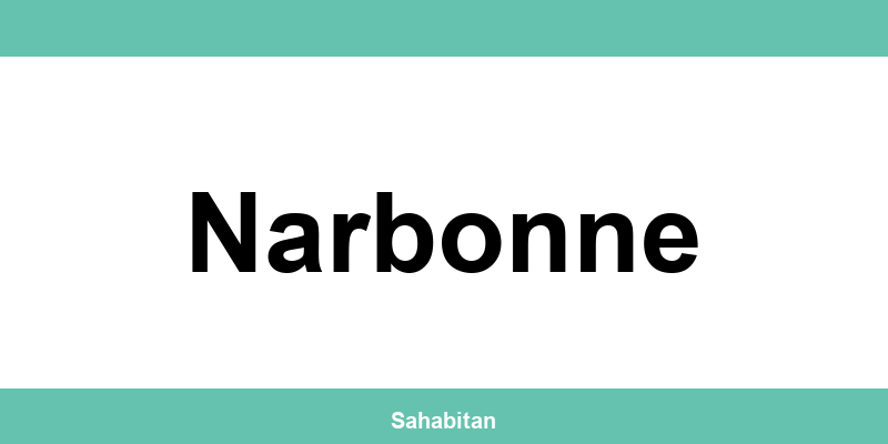 Contactez ISERBA à Narbonne : téléphone et informations utiles