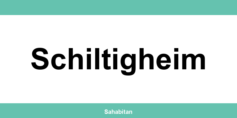 Contactez ISERBA à Schiltigheim : téléphone et informations utiles