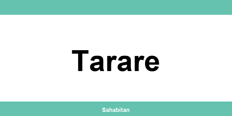 Contactez ISERBA à Tarare : téléphone et informations utiles