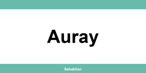 Contactez ISERBA à Auray : téléphone et informations utiles