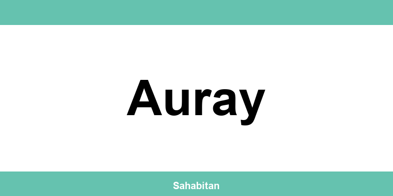 Contactez ISERBA à Auray : téléphone et informations utiles