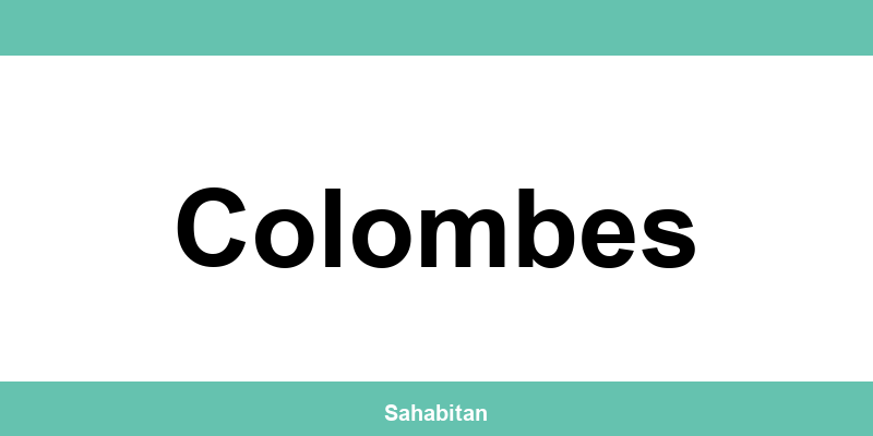 Contactez ISERBA à Colombes : téléphone et informations utiles